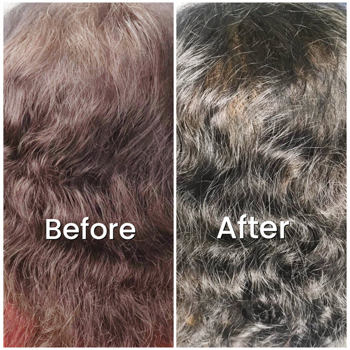 SVA 4-week hair upgrade combo healthier glossier hair with plant-based henna Singapore