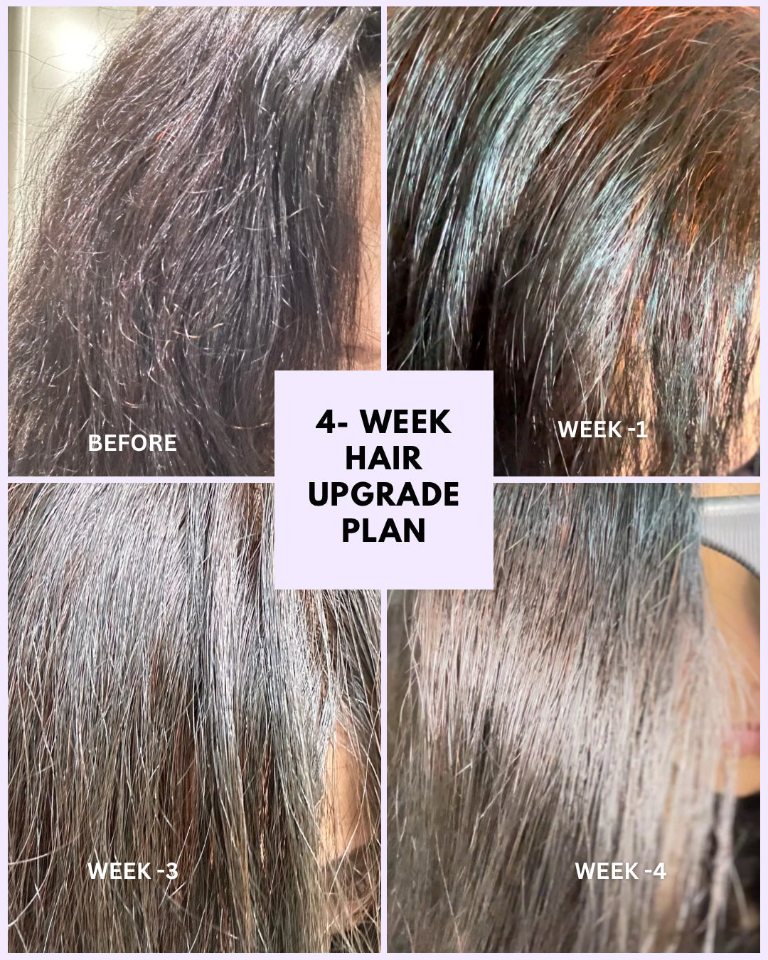 Healthy glossier hair in 4 weeks with SVA plant-based hair dye Singapore