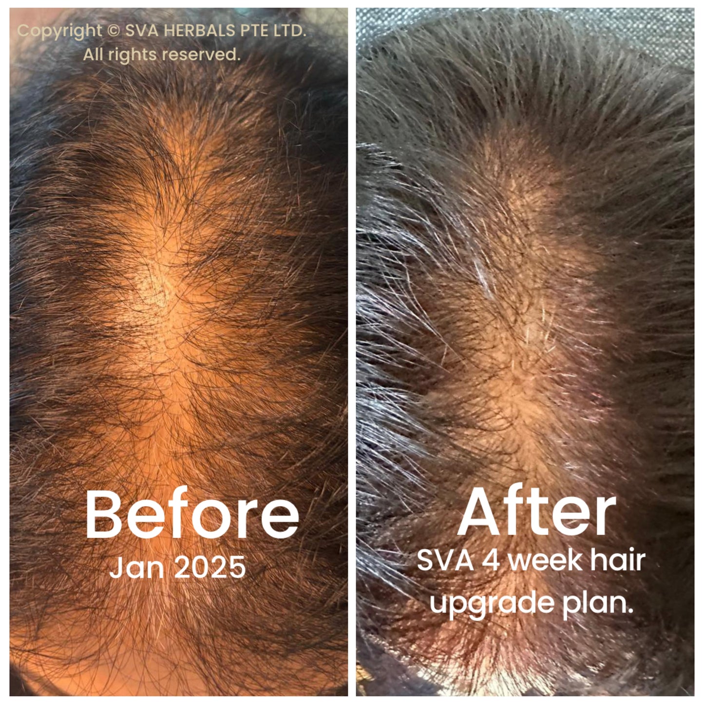 Before and after comparison of healthy hair with SVA henna use.