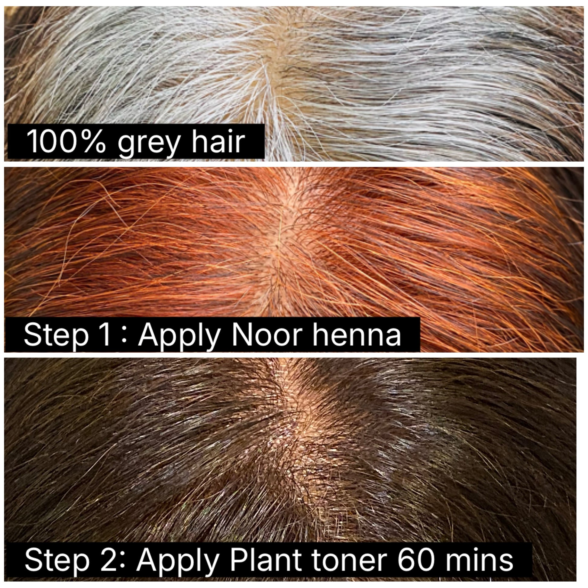 Step-by-step process of covering greys with 100% plant based hair dye dark brown with Noor henna and plant toner, SVA Singapore