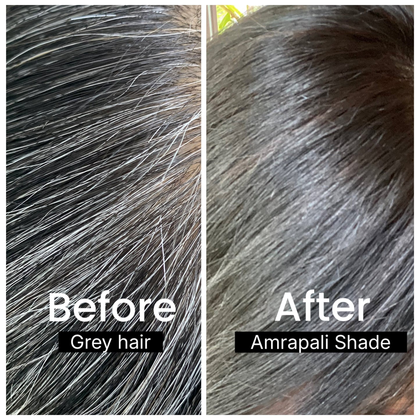 Before and after grey hair coverage with SVA Amrapali Deep brown Shade in plant based hair dyes chemical free range Singapore