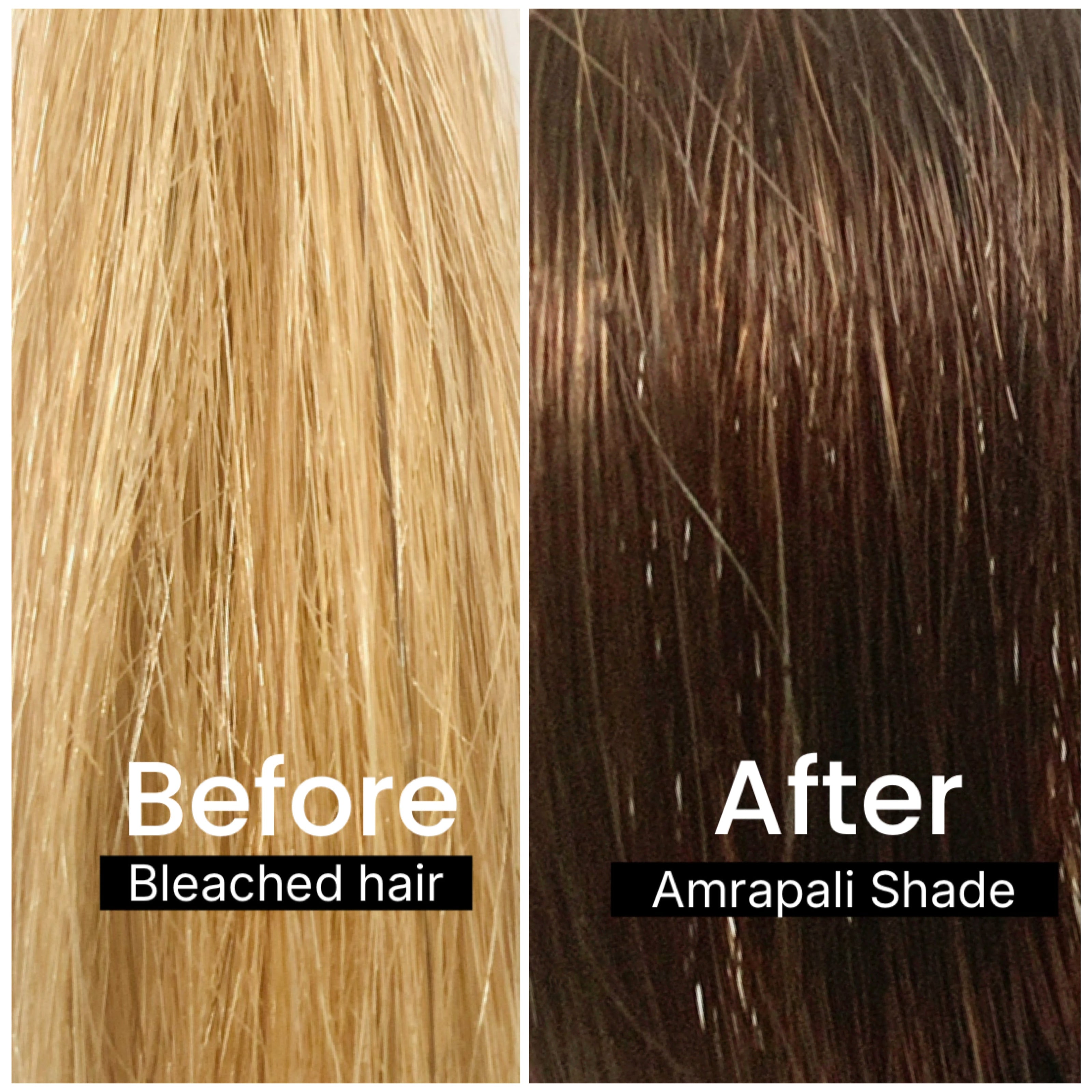 Comparison of bleached hair before and after coloring with Amrapali deep brown Shade using chemical free hair dye Singapore