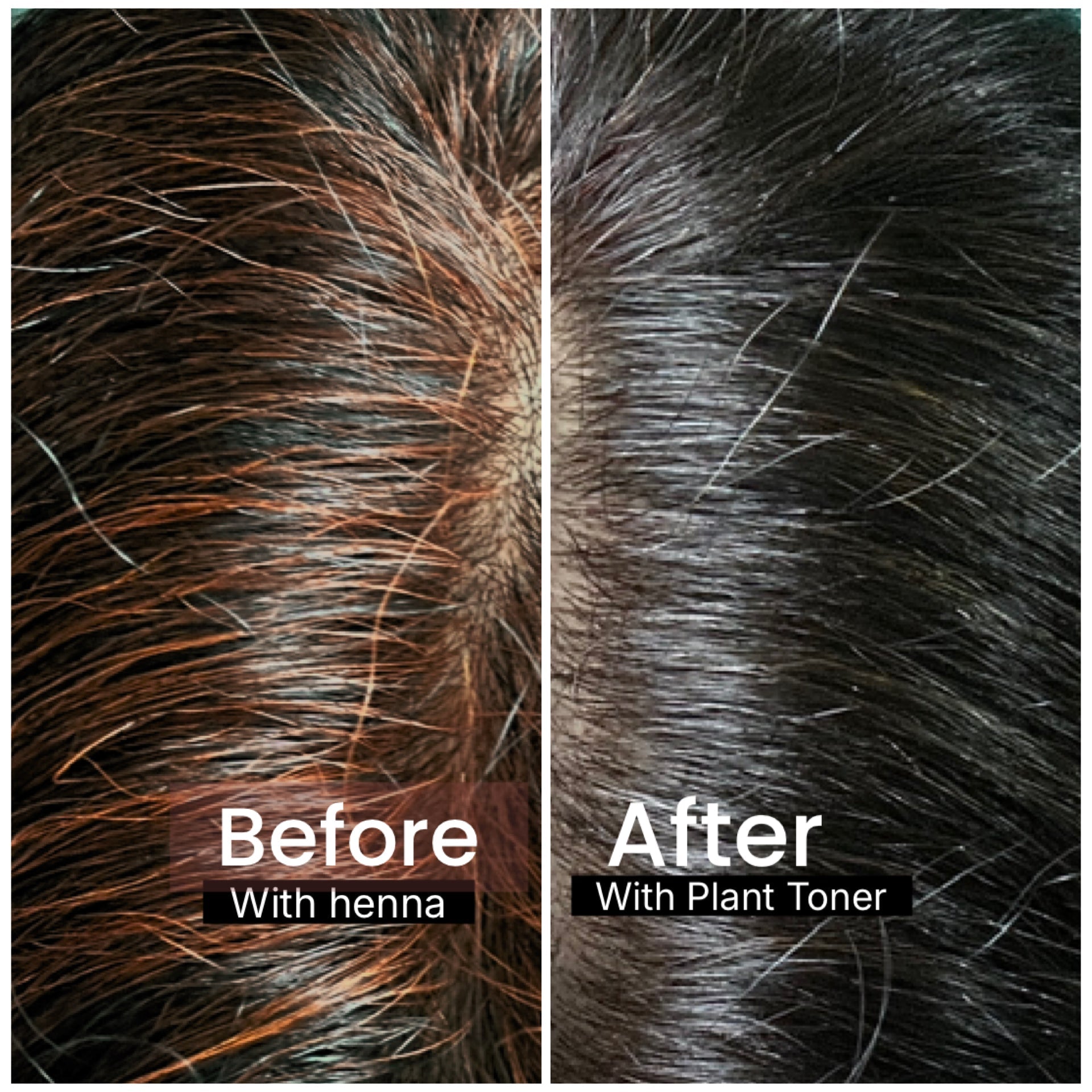 Before and after comparison of hair color treatment with SVA Noor henna and Plant based colour toner Singapore