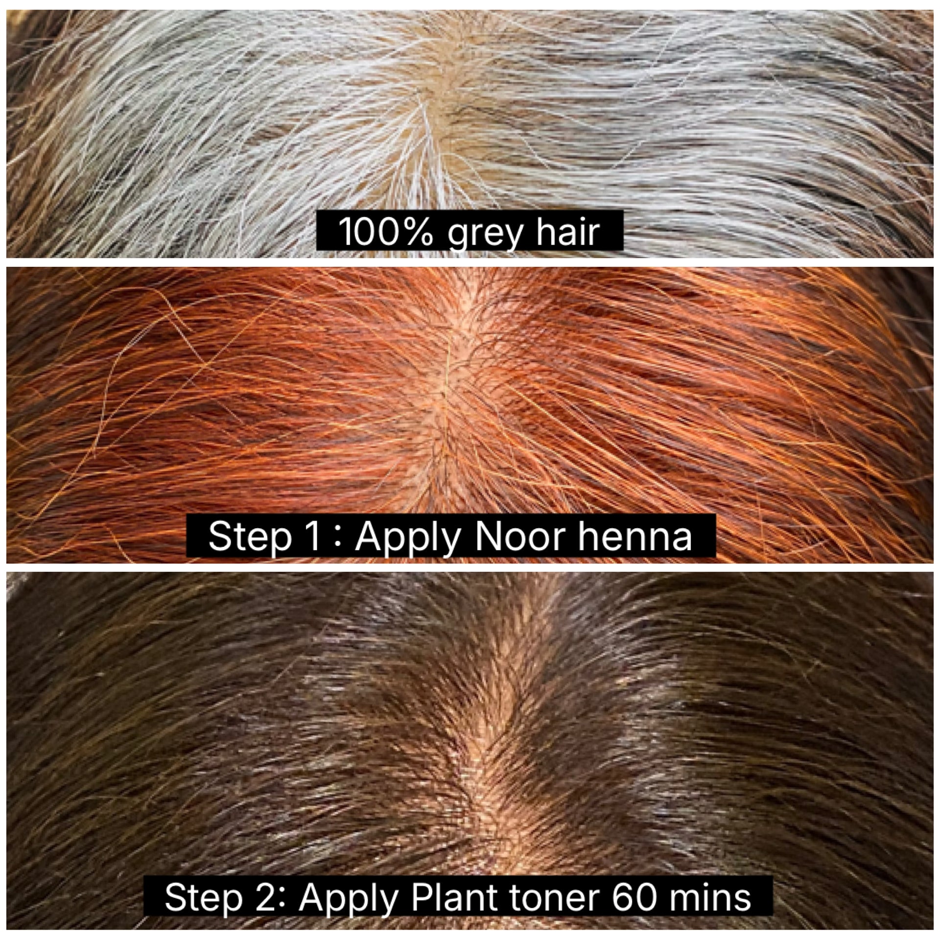 SVA Henna Colour Toner neutralises henna orange to brown shade Singapore
