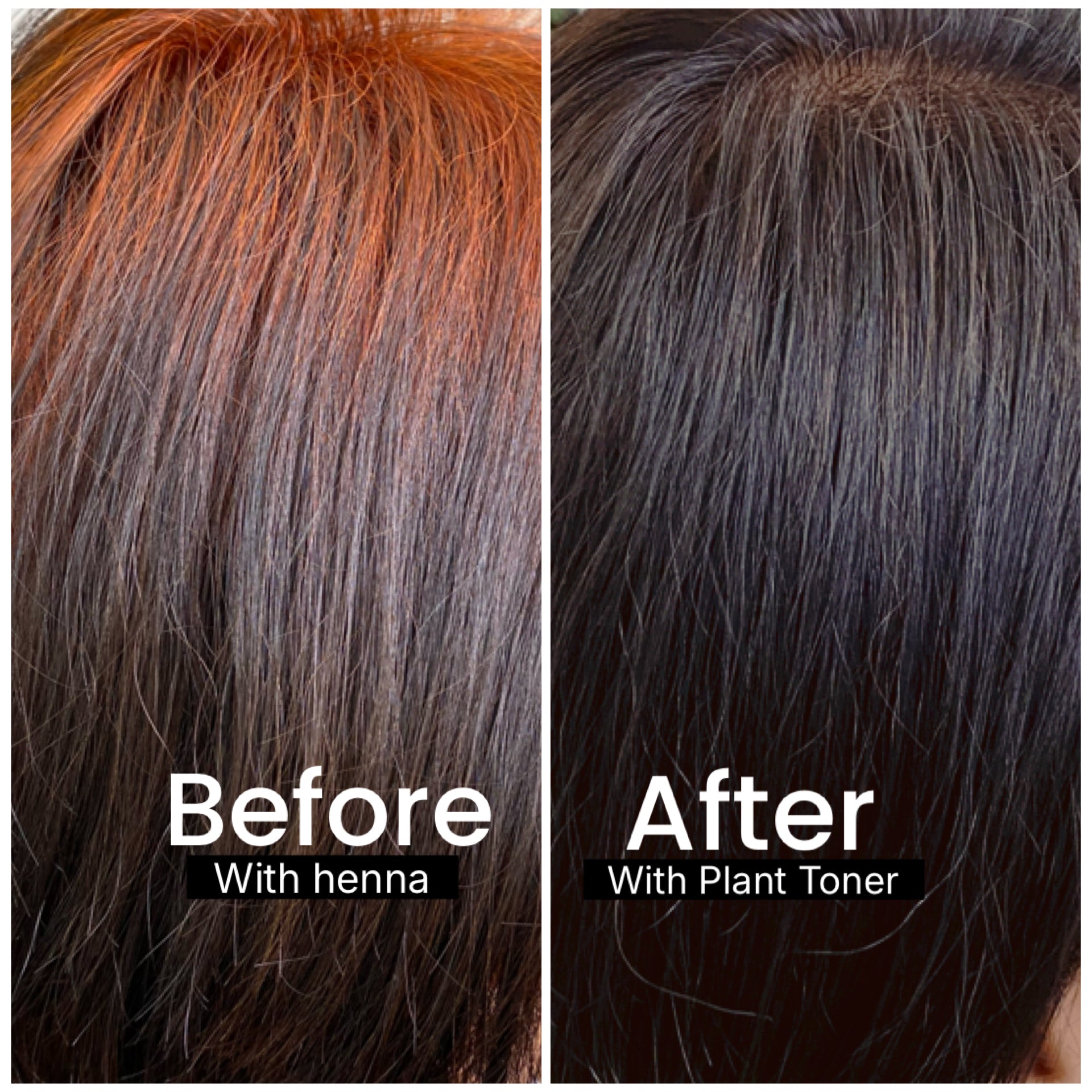 SVA Henna Colour Toner 2-step process dark brown hair colour Singapore