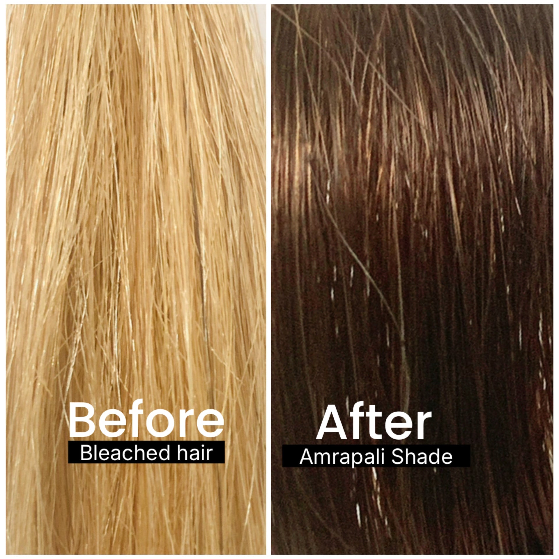 SVA Amrapali deep brown shade colour result on bleached hair Singapore