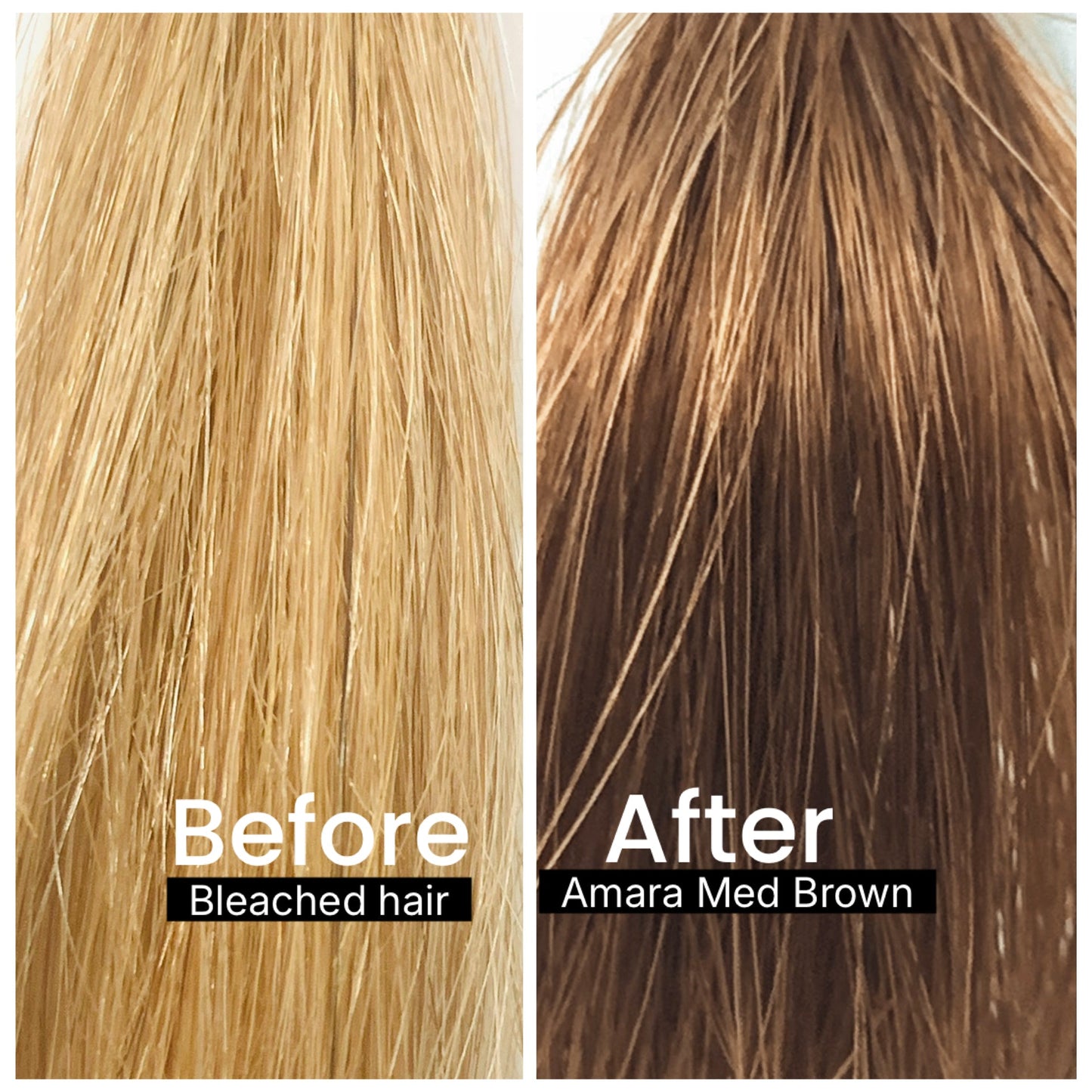 Grey coverage on bleached hair with SVA Amara medium brown shade 100% plant-based hair dye Singapore